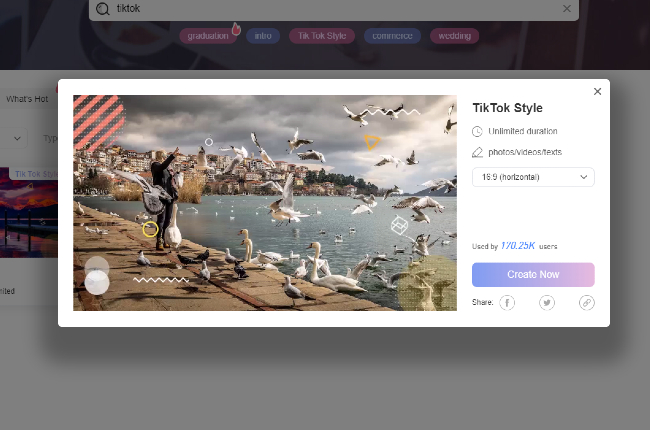 lightmv template